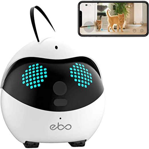 Ebo, The Smart Robot Ebo, The Smart Robot